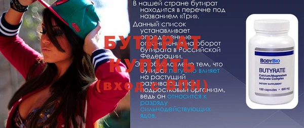гашик Ельня