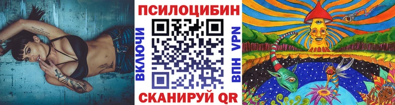 Псилоцибиновые грибы GOLDEN TEACHER  Мглин 